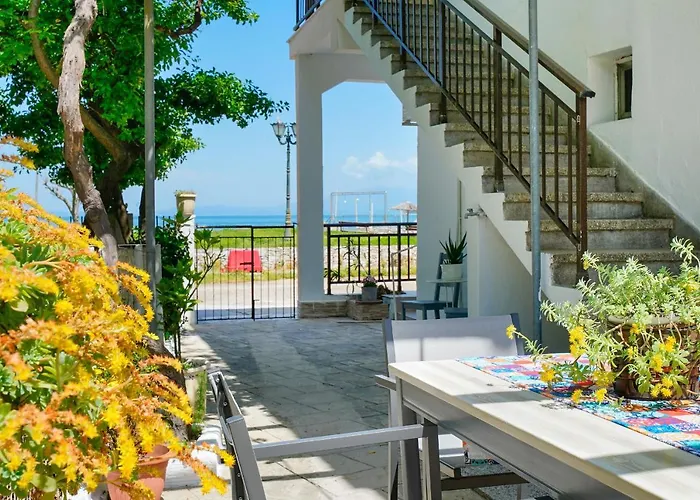 Evelyn 奥林匹亚达