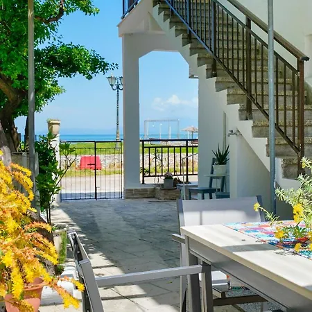 Evelyn Олимпиада